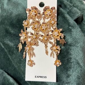 NWT Express Earrings